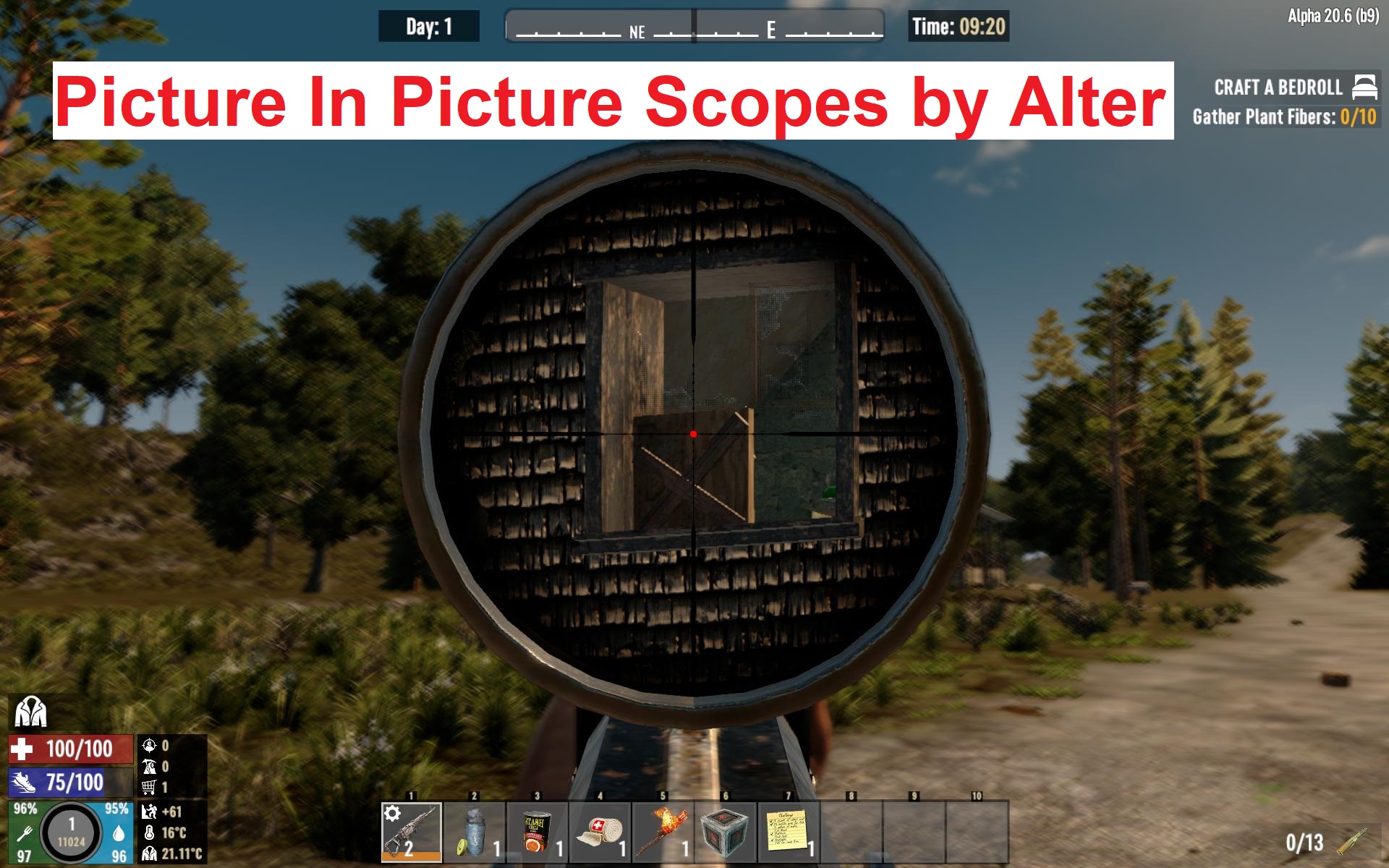 Picture In Picture Scopes by Alter